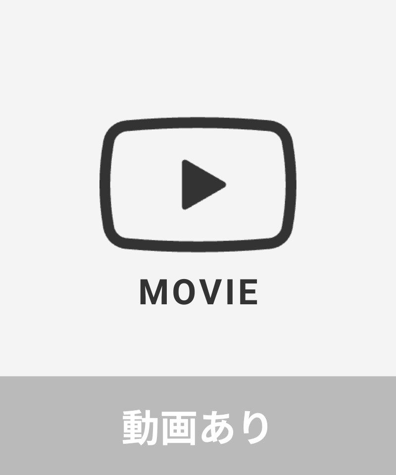動画あり