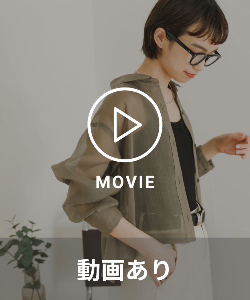 動画あり