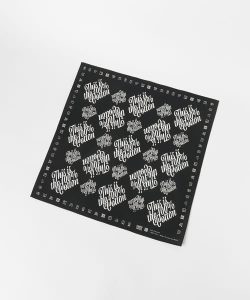 This is　This is the Bandana A-50