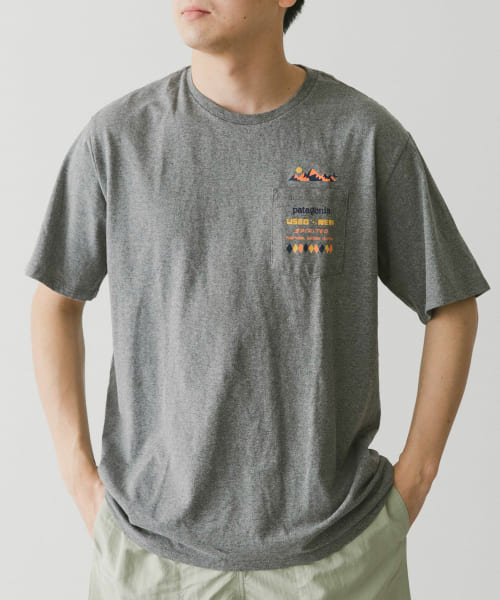 patagonia　SpiritedSeasonsPocket T-shirts