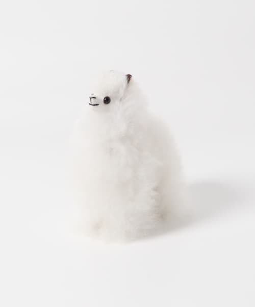 COSY　ALPACA