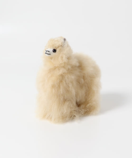 COSY　ALPACA