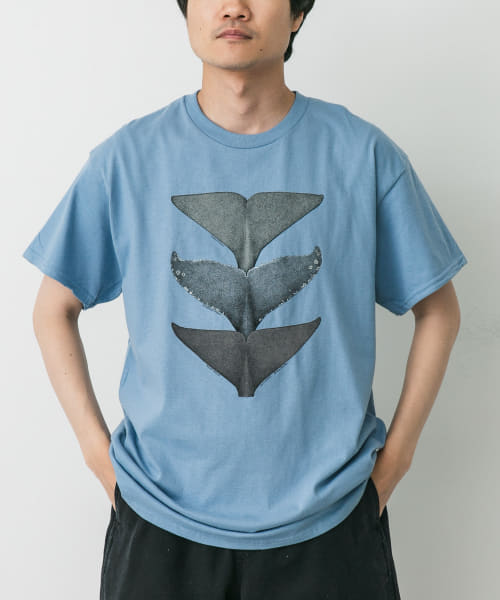LIBERTY GRAPHICS　Whale Tails