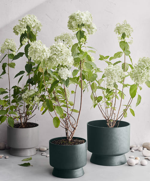 ROSENDAHL COPENHAGEN　フラワーポット φ12cm