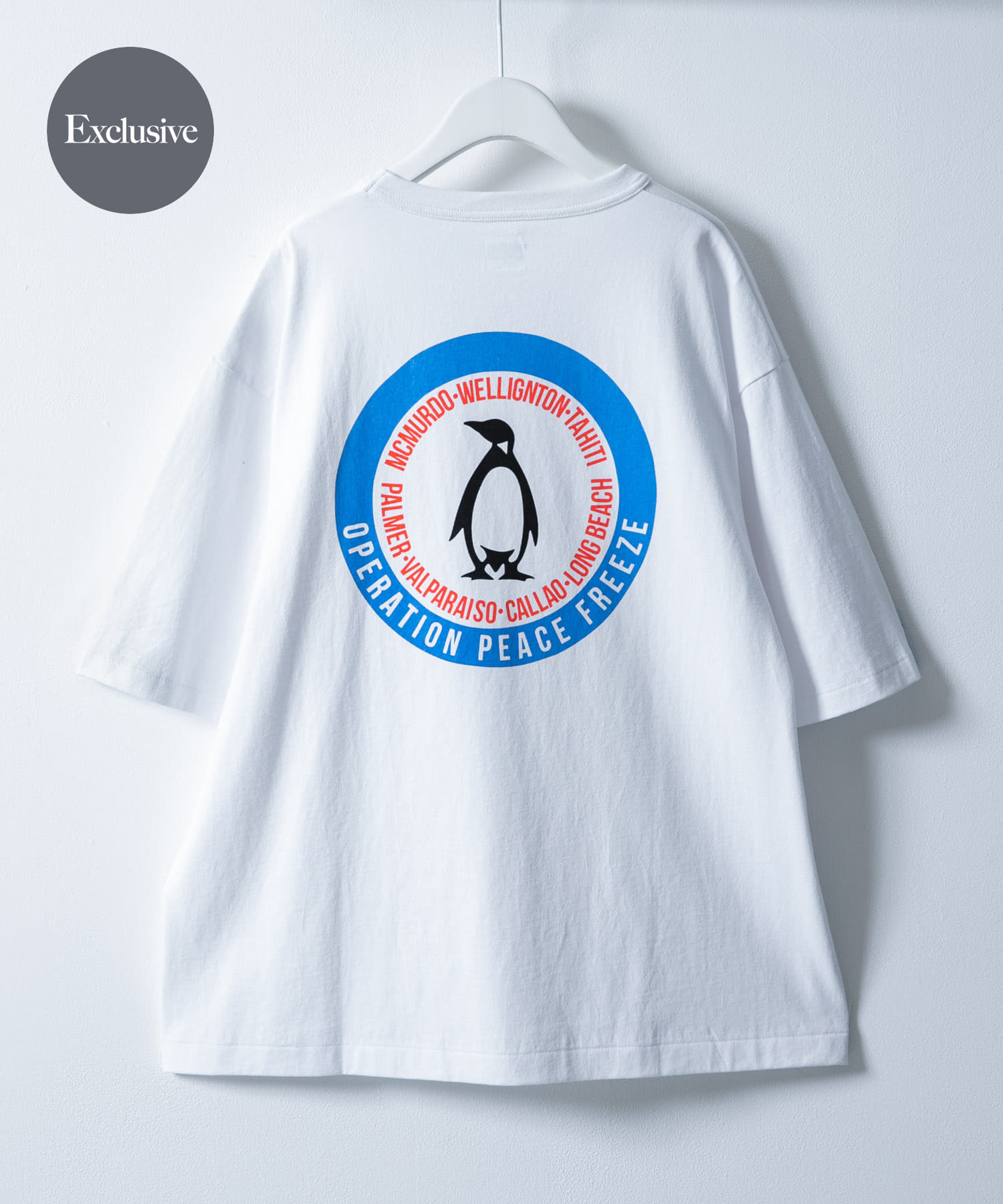 AVIREX アヴィレックス VARSITY LOGO T-SHIRT ロゴ Tシャツ 刺繍