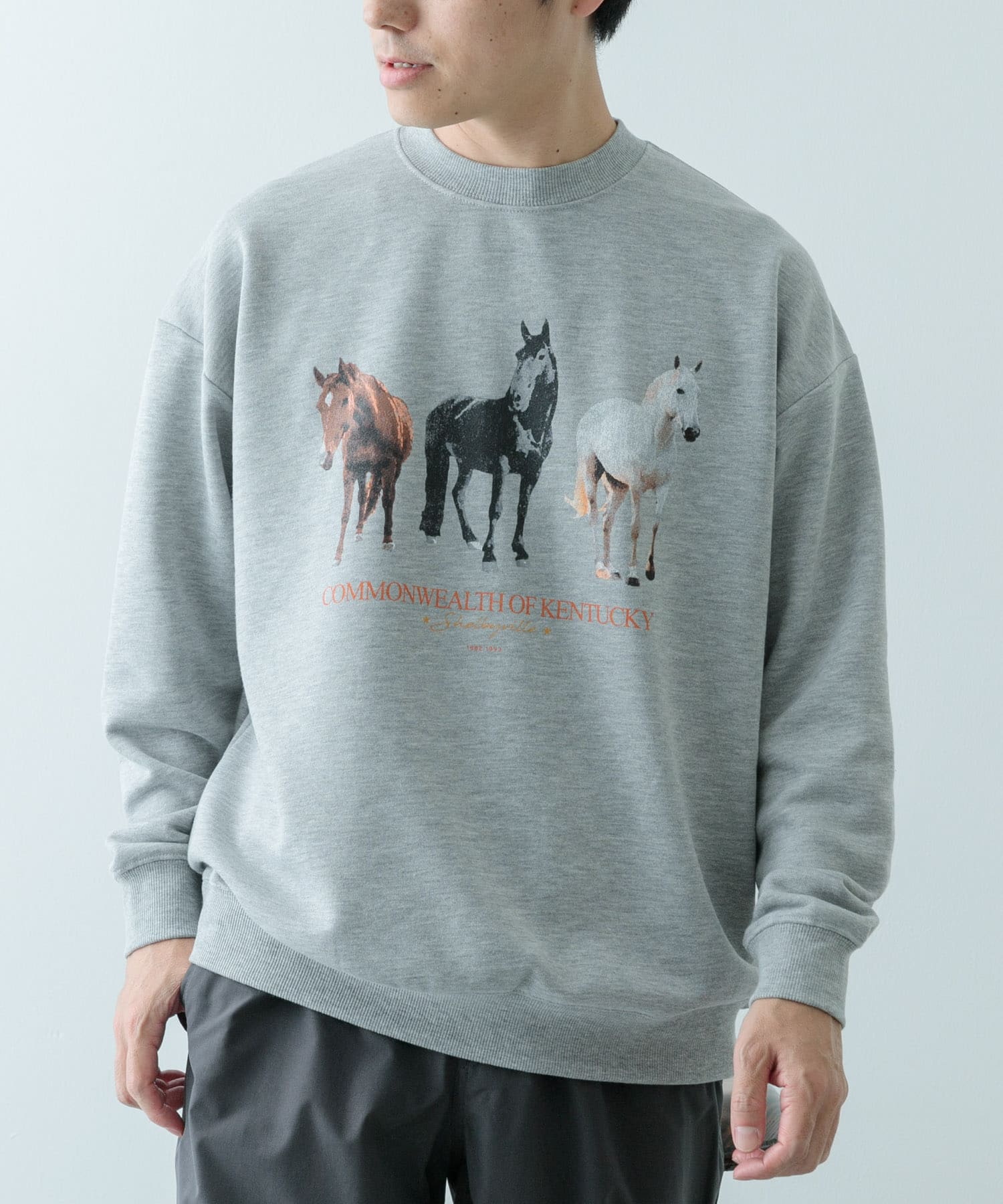 クルーネックスエット horse[IT47-11C018]｜URBAN RESEARCH公式