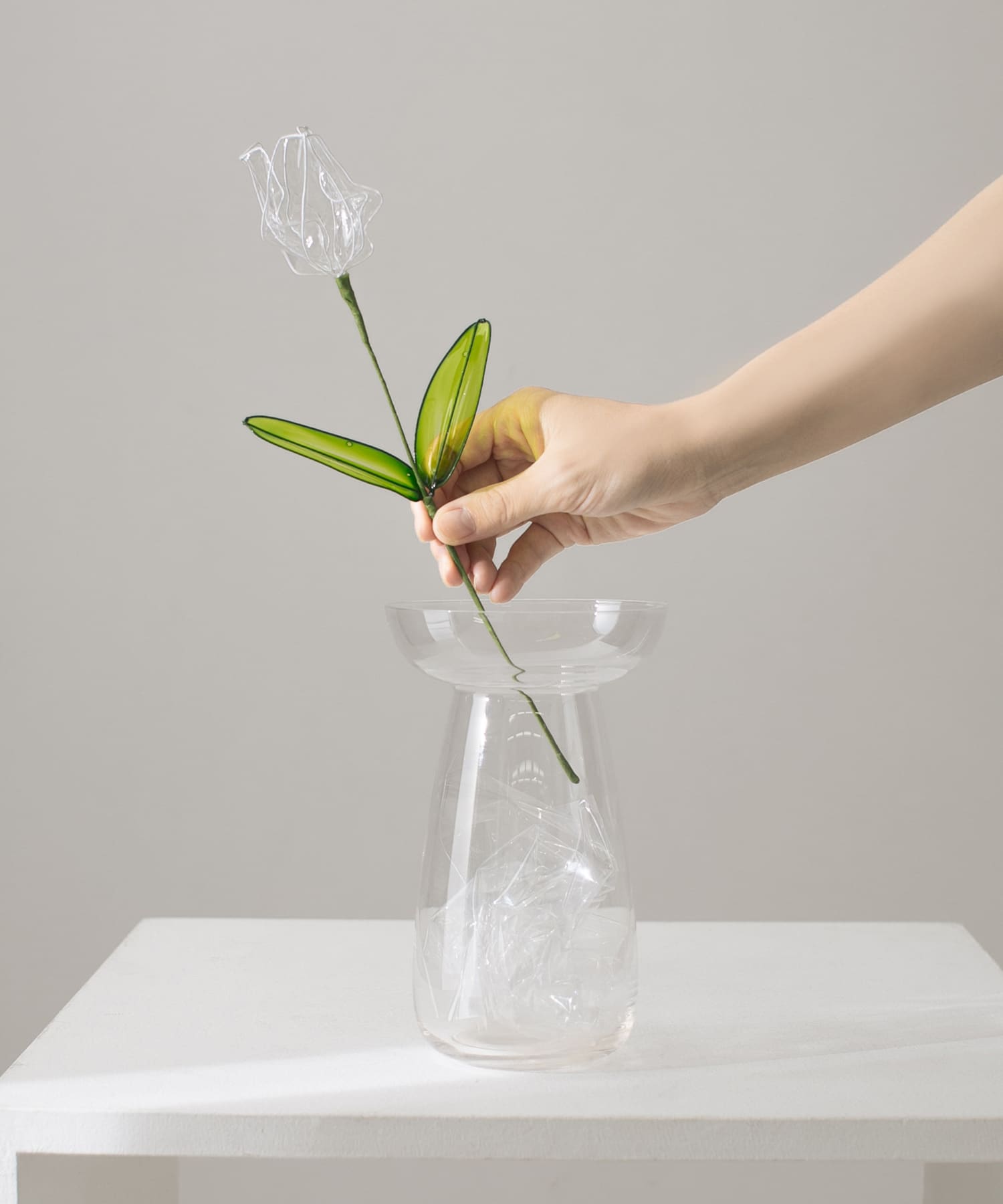 BLOMSTER クリアチューリップ(2枚葉)[AB24-4GZ521]｜URBAN