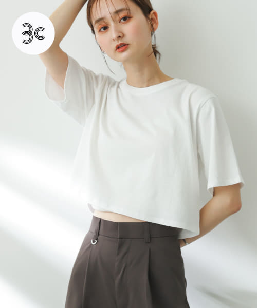 USAコットンクロップドTシャツ(半袖)