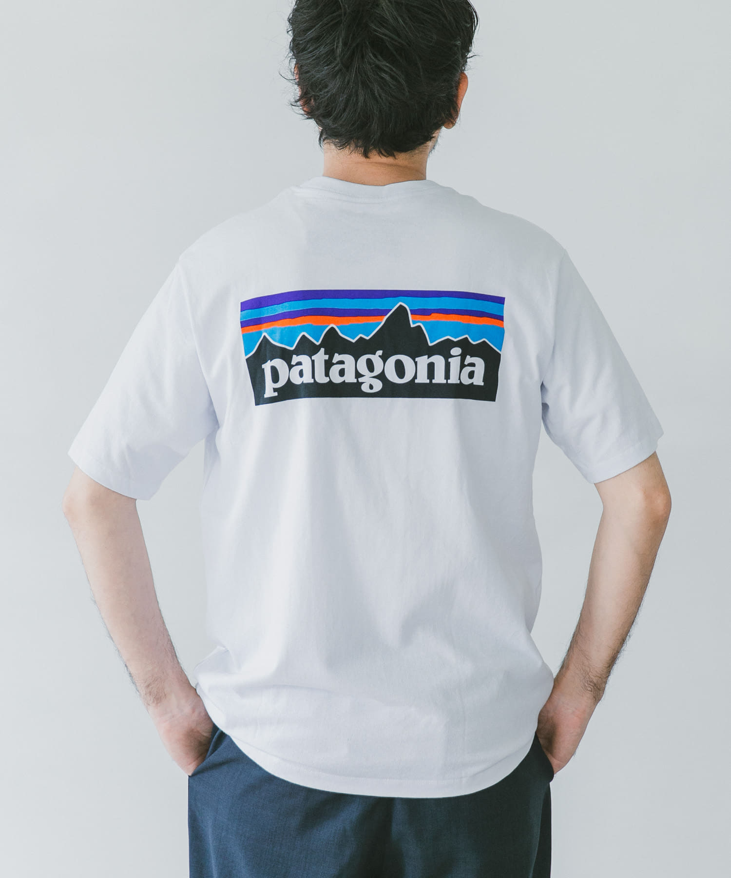 patagonia Tシャツ P-6 P-6 LOGO ホワイト L パタゴニア