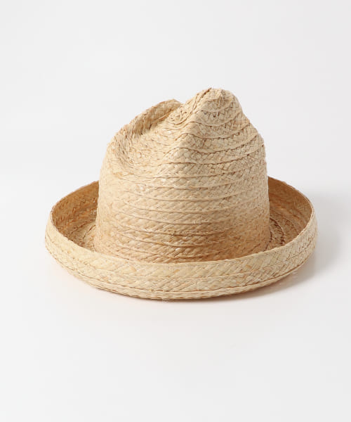 mountain research　Mt. Hat