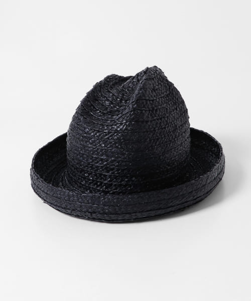 mountain research　Mt. Hat