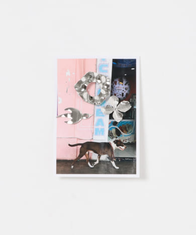 LY　Pins sets