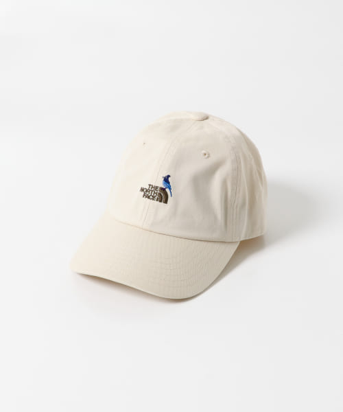 THE NORTH FACE　Kids Small Logo Cap