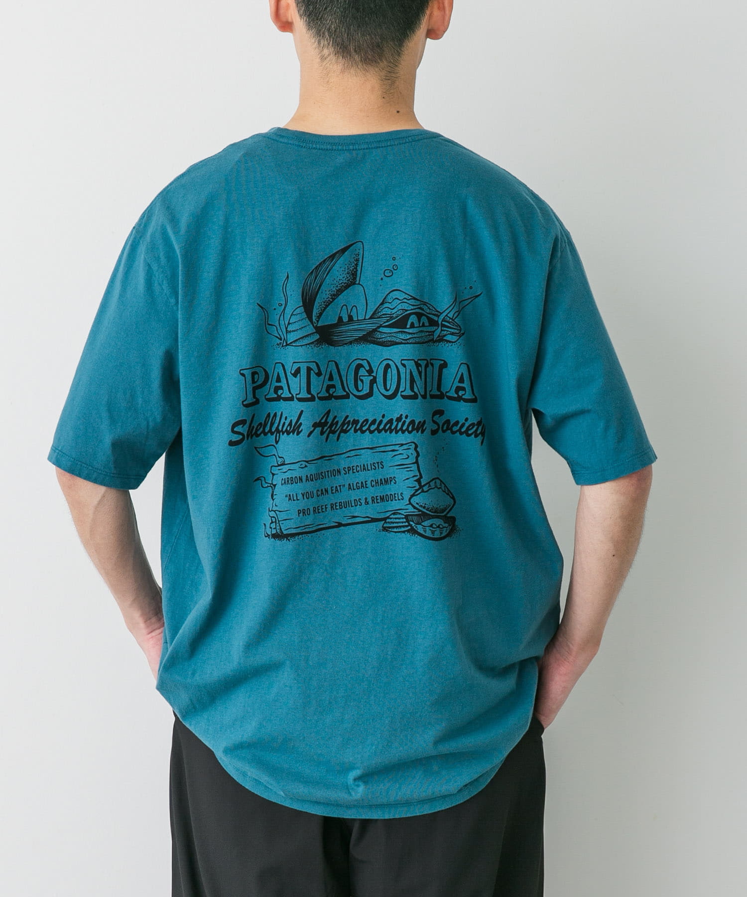 Patagonia パタゴニア 半袖Tシャツ メンズ レディース 速乾 吸湿