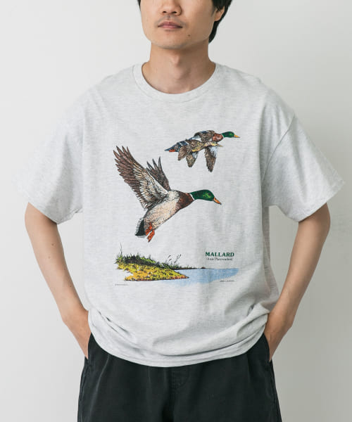 LIBERTY GRAPHICS　Mallards