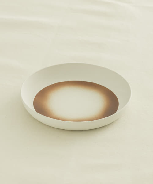 2016/　Deep plate220 spray color