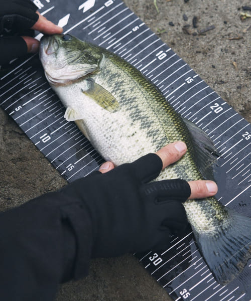 『別注』LAKE SEEKERS x ST line　Fishing Glove