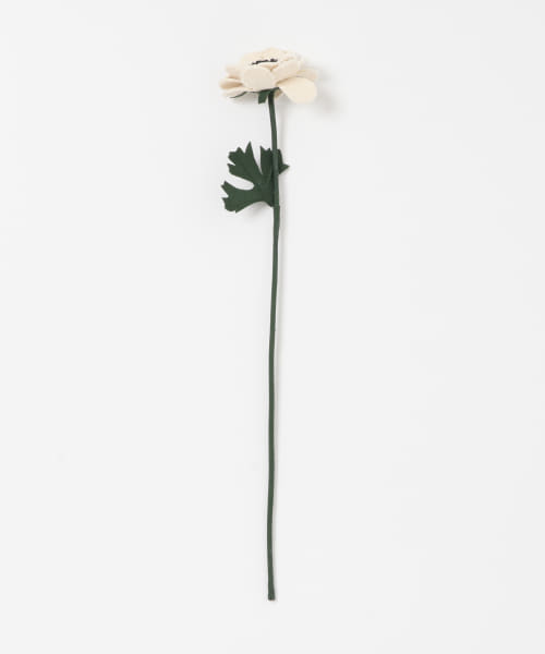 BLOMSTER　LOVECOアネモネSP