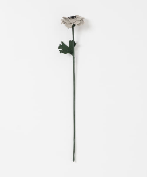 BLOMSTER　LOVECOアネモネSP