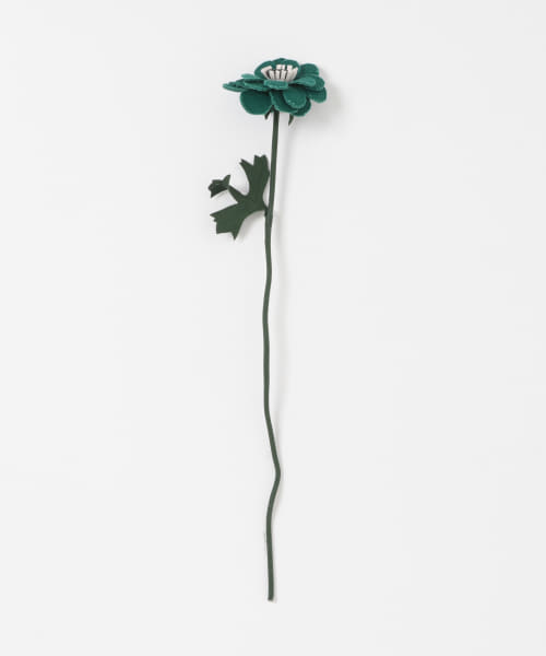 BLOMSTER　LOVECOアネモネSP