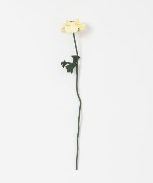 BLOMSTER　LOVECOアネモネSP