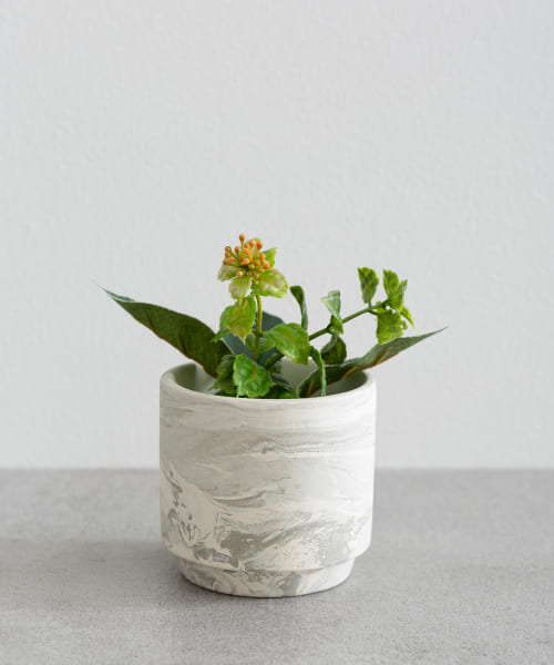 BLOMSTER　SOIL POT