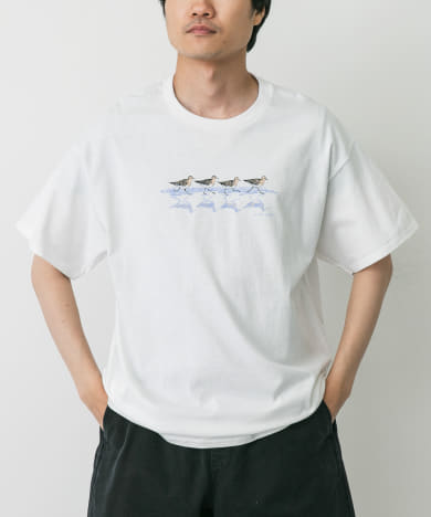 LIBERTY GRAPHICS　Sandpipers