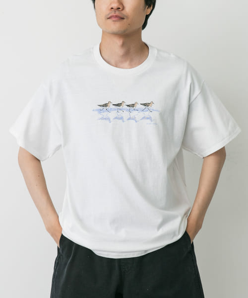 LIBERTY GRAPHICS　Sandpipers