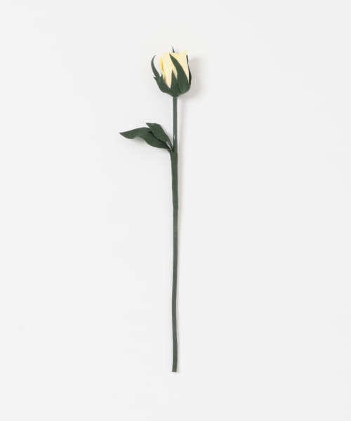 BLOMSTER　LOVECOつぼみ