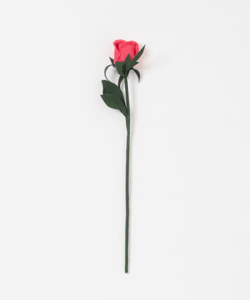 BLOMSTER　LOVECOつぼみ