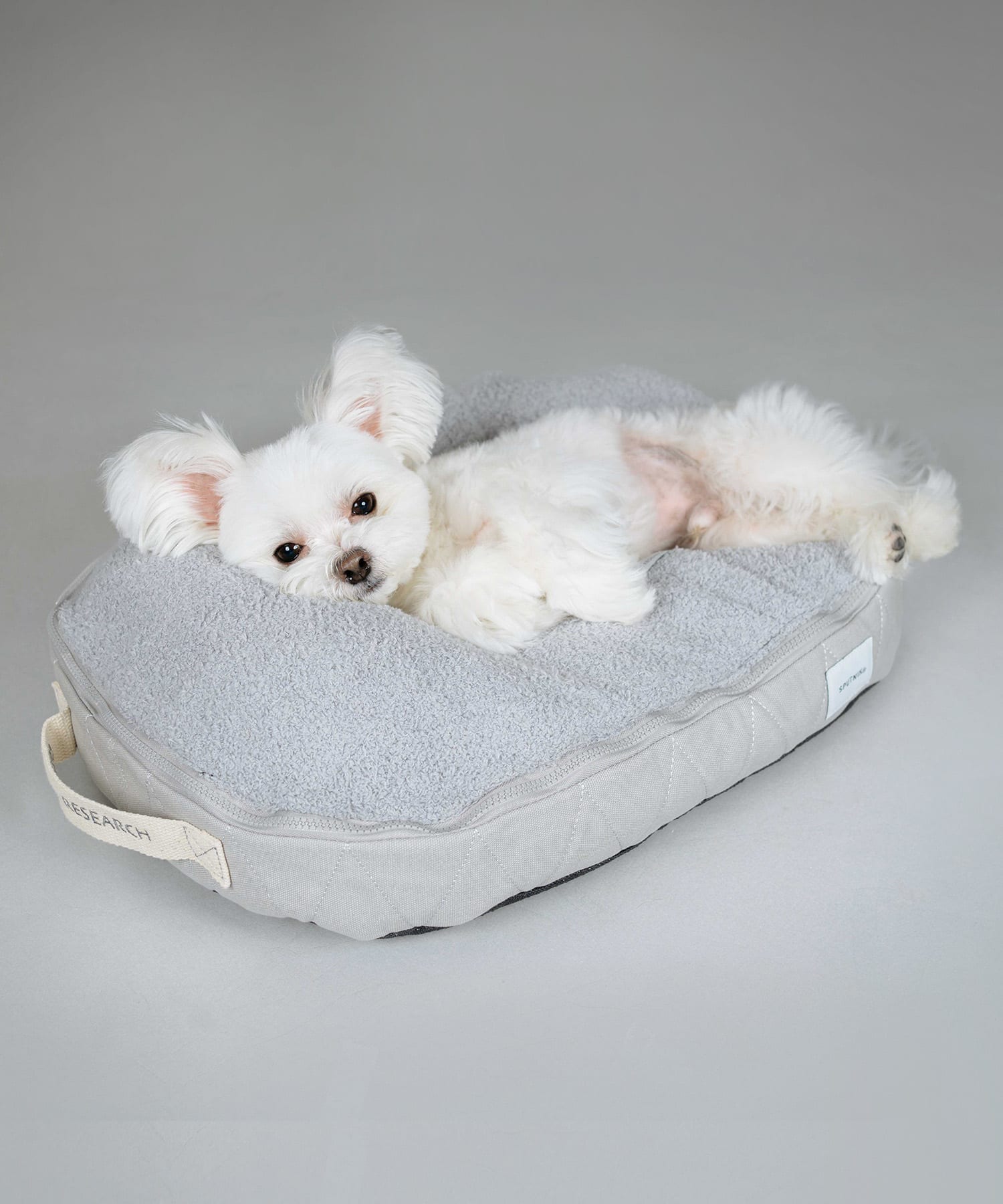 別注』SPUTNIK×URBANRESEARCH 2 Way pet bed S[BSM43-5JZ002