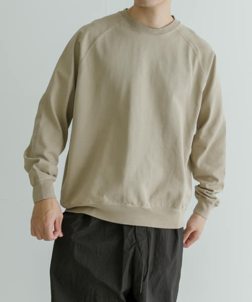 ndx　RaglanSweat