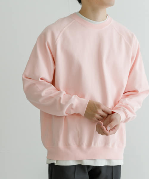 ndx　RaglanSweat