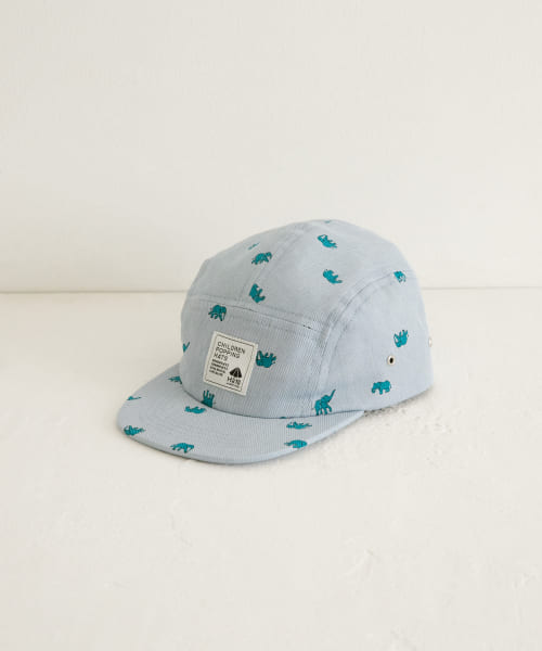 Ha10　JETCAP ゾウ