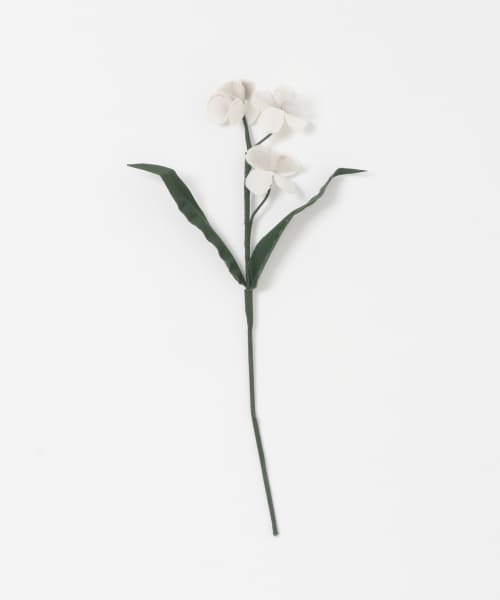 BLOMSTER　LOVECO忘れな草