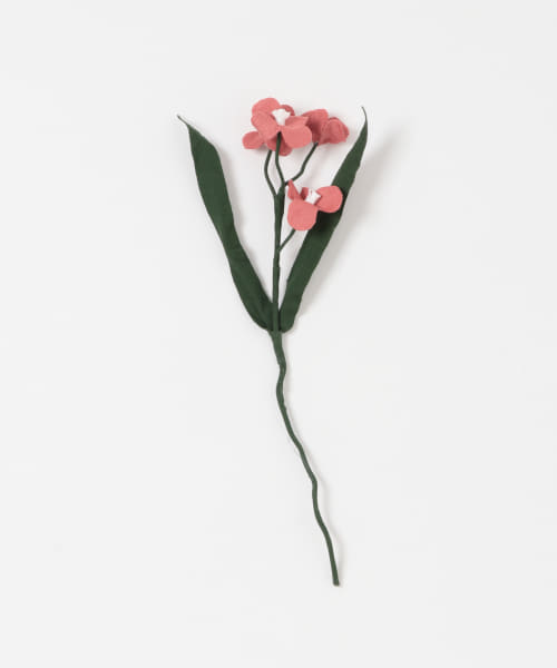 BLOMSTER　LOVECO忘れな草