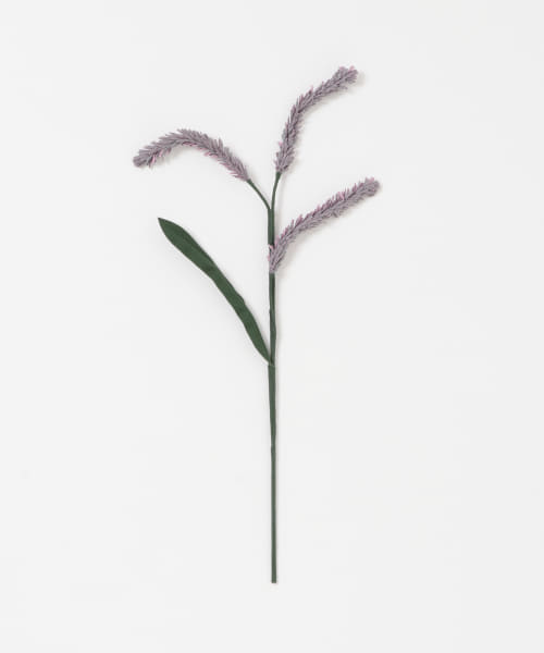 BLOMSTER　LOVECOアサカショウマ