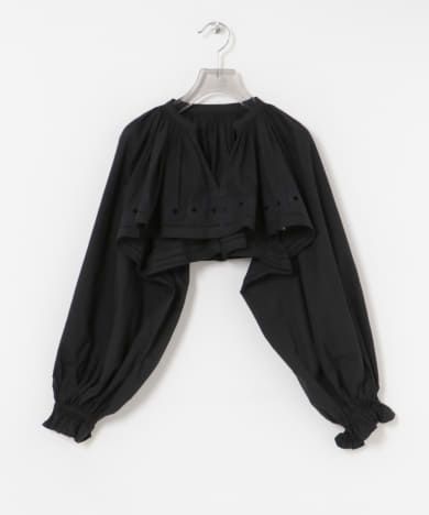 crinkle crinkle crinkle　embroidery cropped blouse