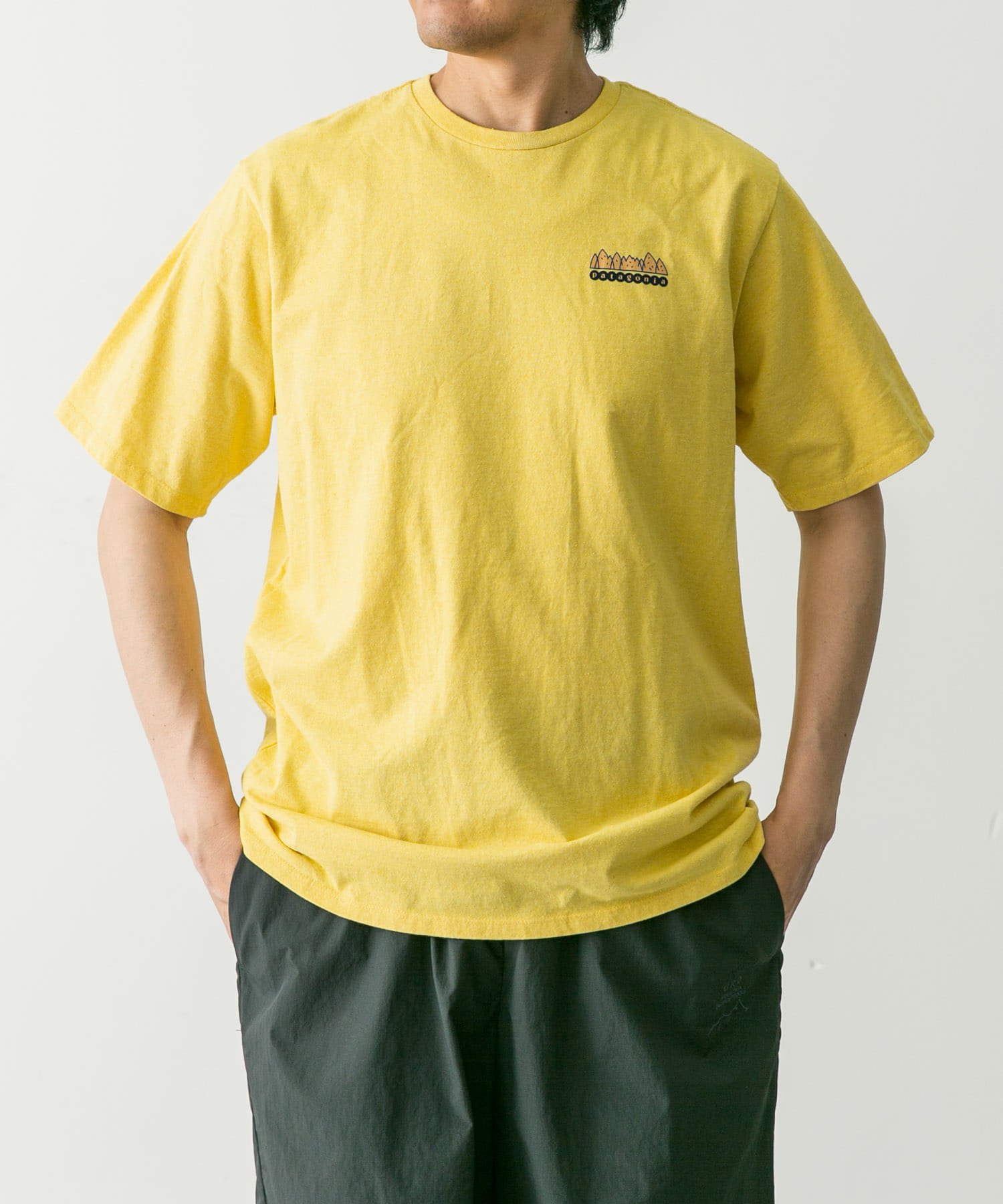 patagonia Fitz Roy Wild Re-T-Shirts[DM45-37702]｜URBAN