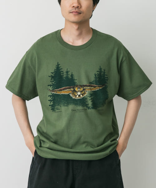 LIBERTY GRAPHICS　Owl In Flight