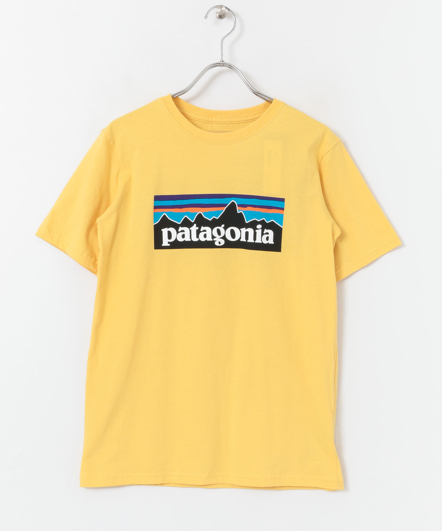 patagonia t shirt logo