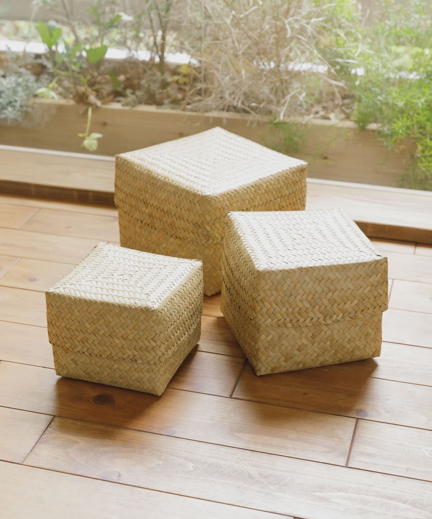 WEB限定』サイアム カチュー水草ふた付き四角BOX M[KJ-28M-DZ43