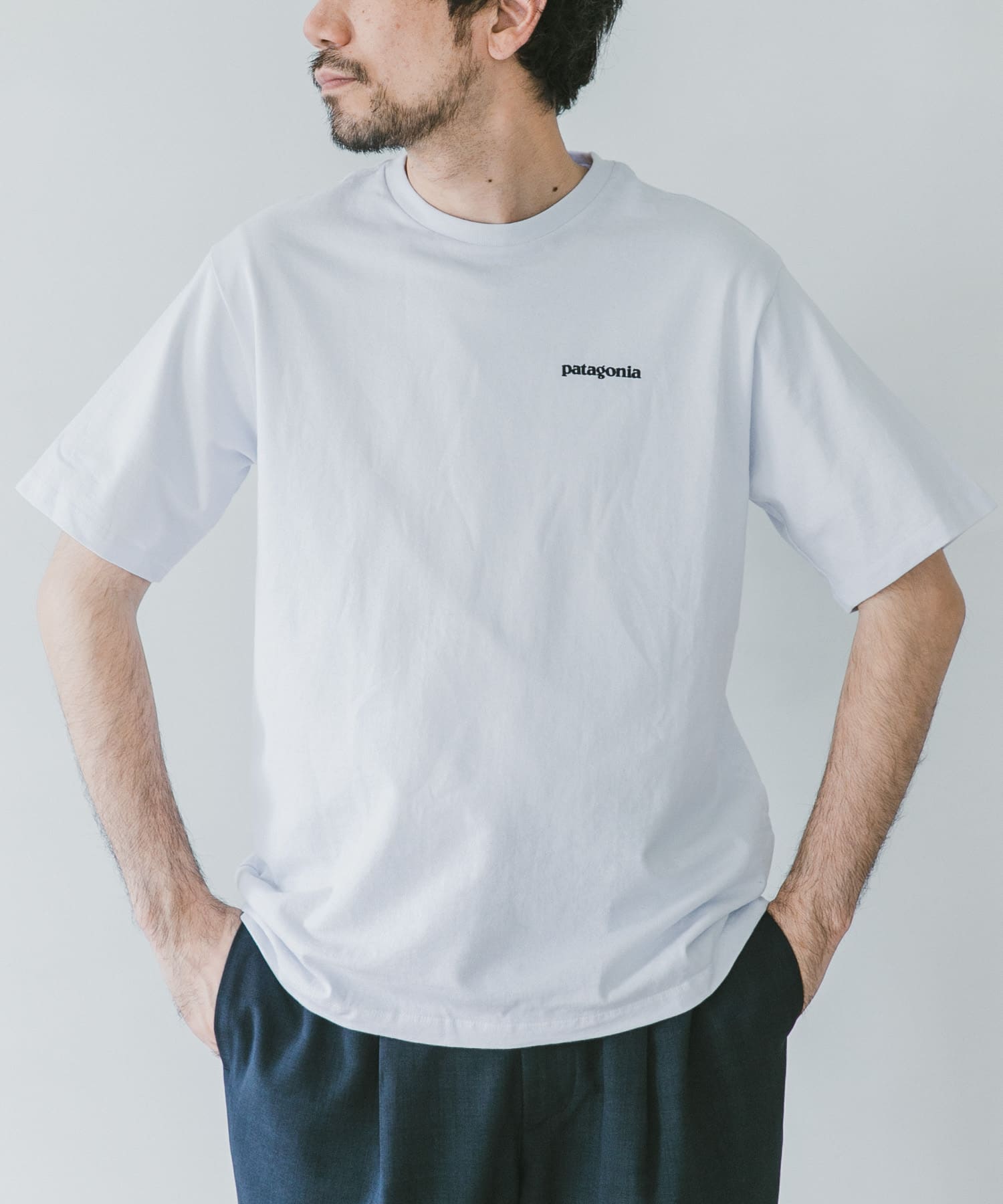 パタゴニア P-6 Responsibili-Tee S STTR 2018