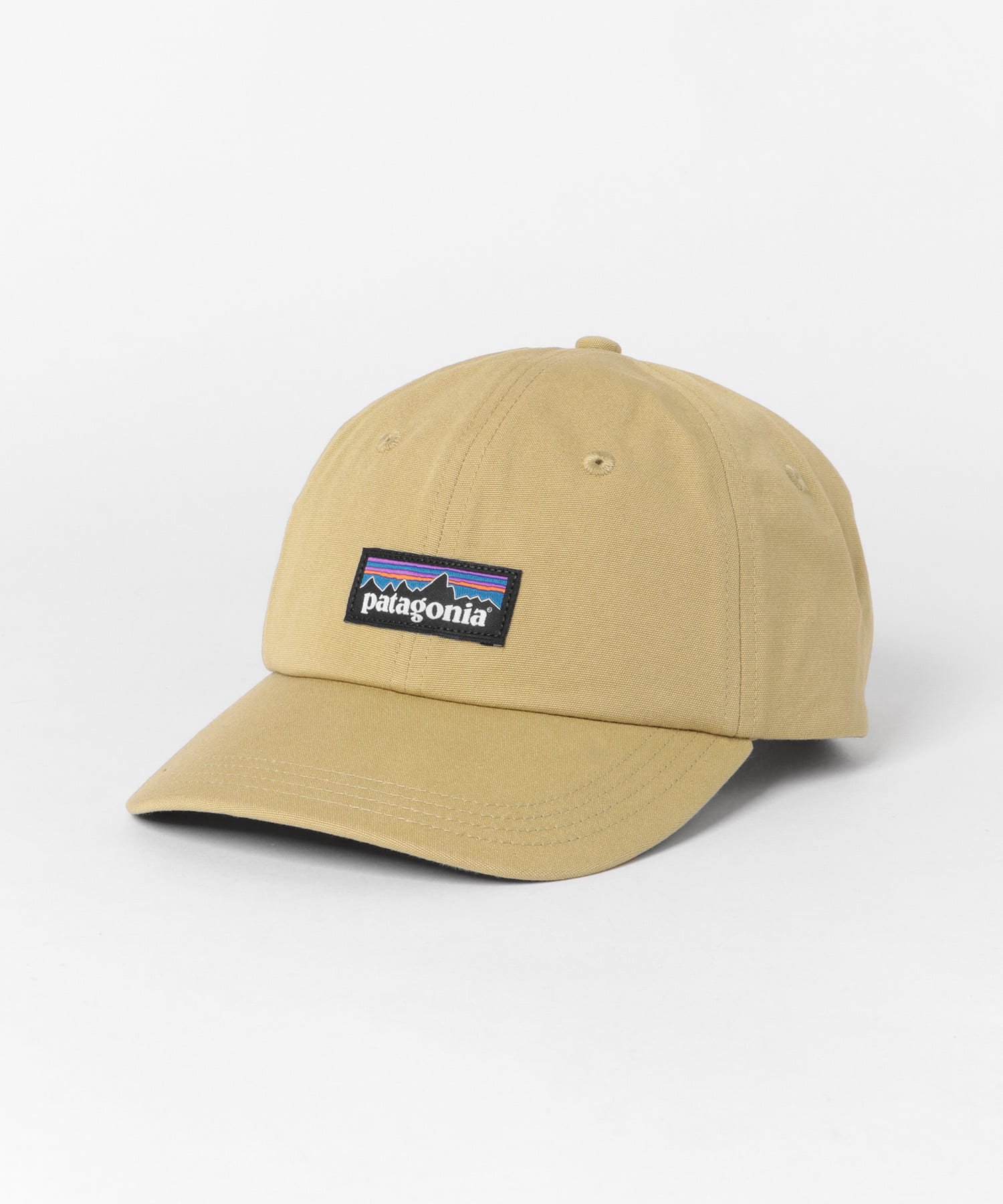 patagonia waterproof cap