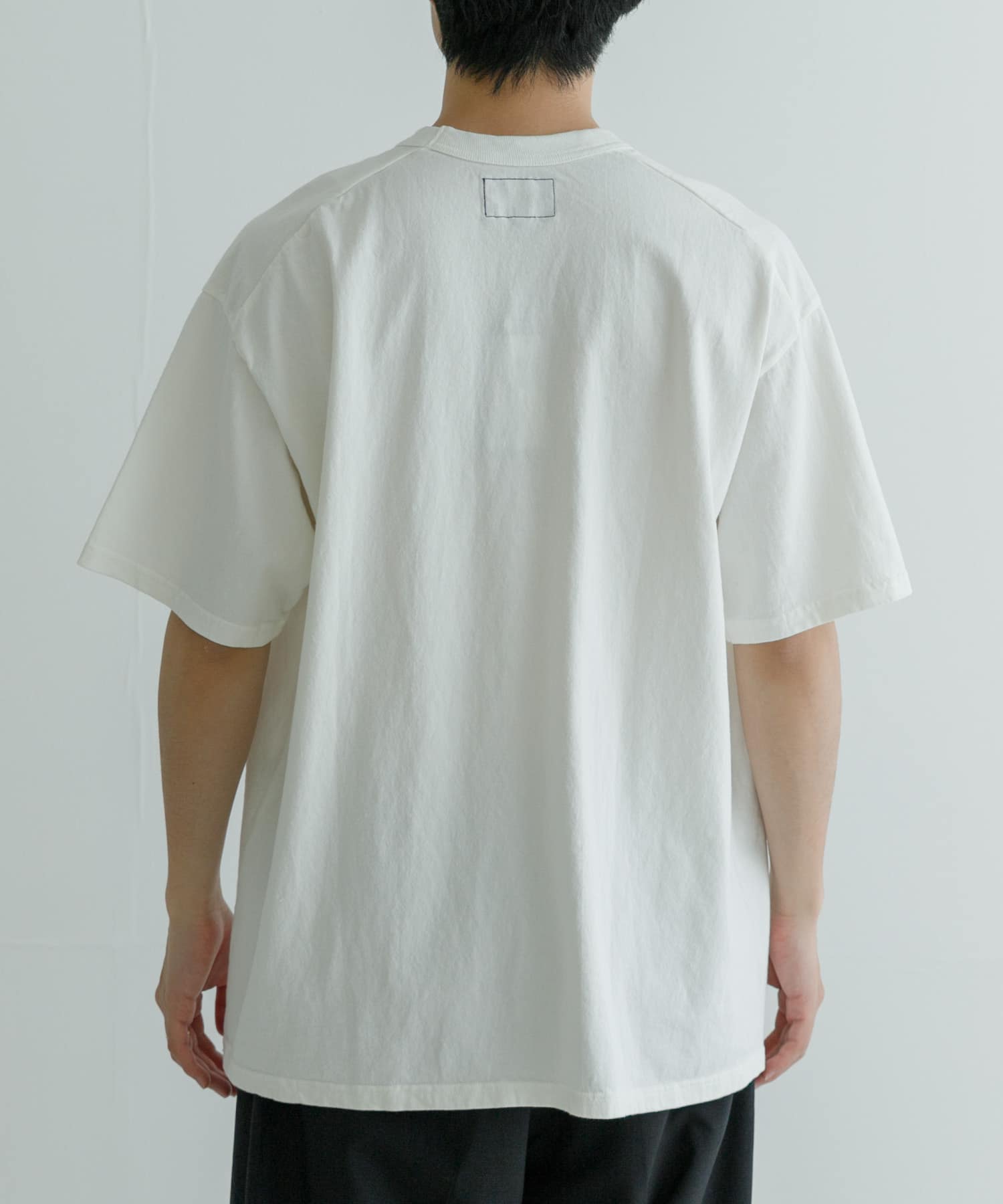 3696030_base.jpg