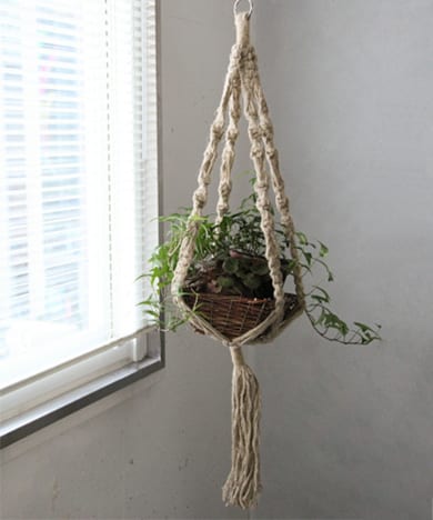 wiffle×DOORS　PLANT HUNGER L