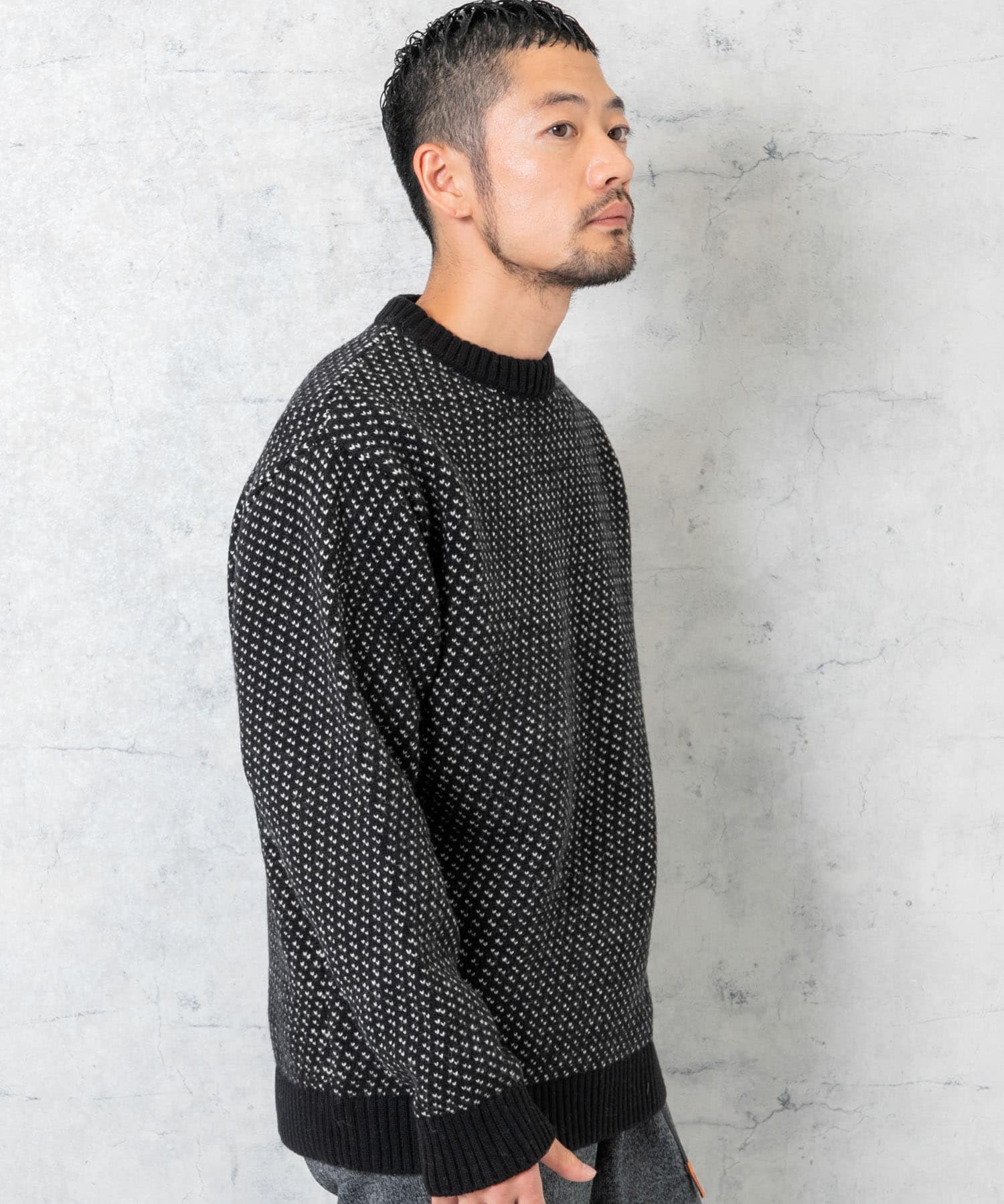 XLサイズあり』バーズアイ柄クルーネックニット[RA37-12M101]｜URBAN