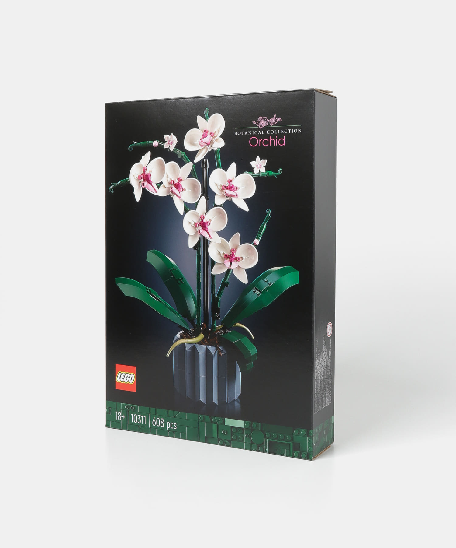 LEGO　BLOMSTER　コチョウラン-