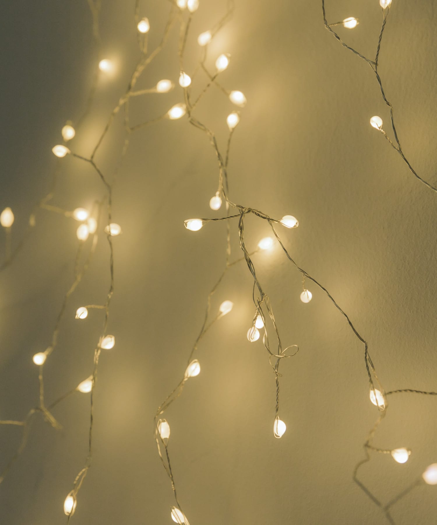 『WEB限定』shesay　LEDデコレーションライトツリー 1.5m SL -