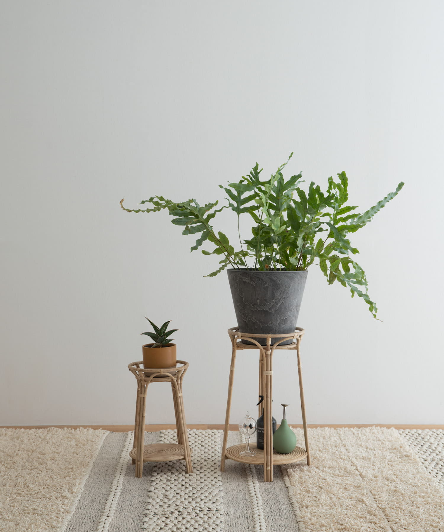 『WEB/一部店舗限定』shesay　ラタンのプラントスタンドS - S